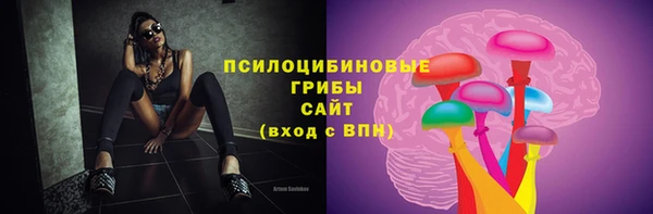 хмурый Лагань