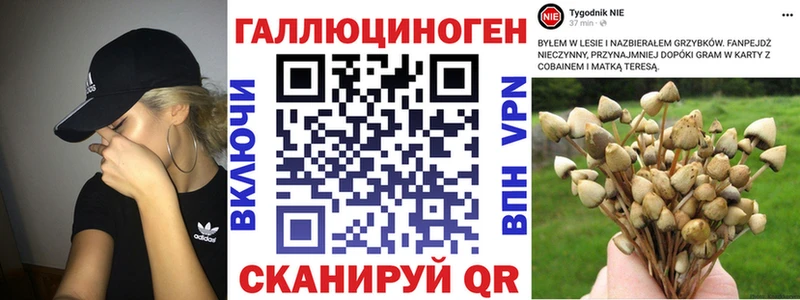 darknet наркотические препараты  Урень  Псилоцибиновые грибы прущие грибы 