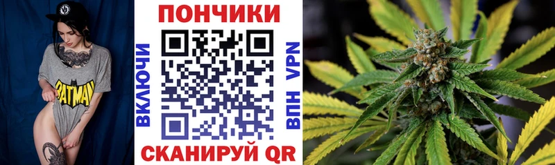 Бошки Шишки семена  Урень 